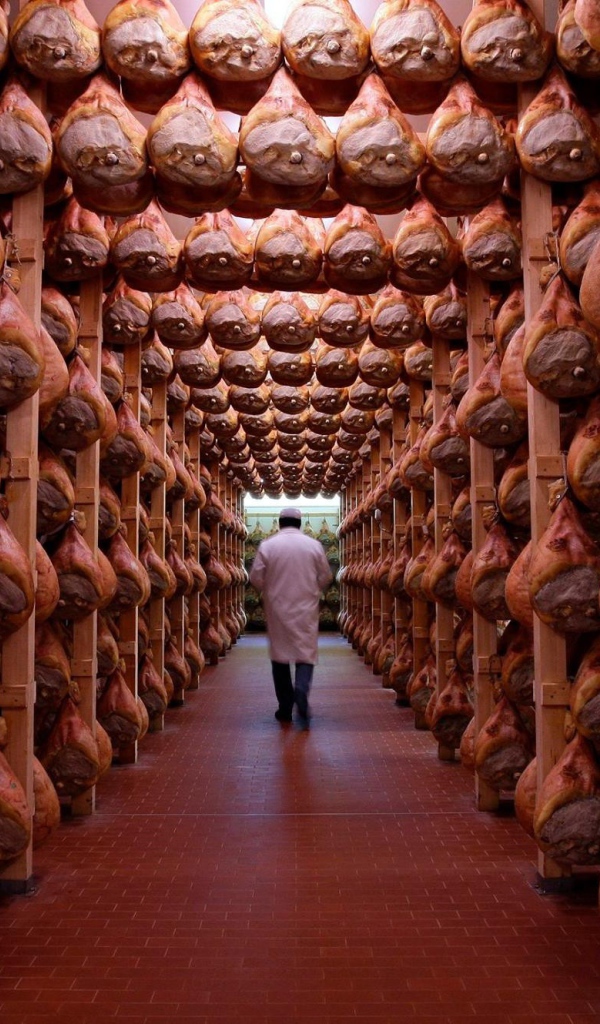 Холодильник с окороками