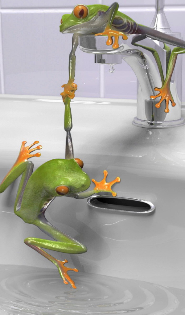Зеленые лягушки в раковине