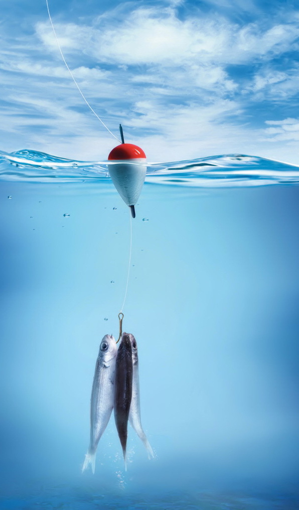 Три рыбы на крючке