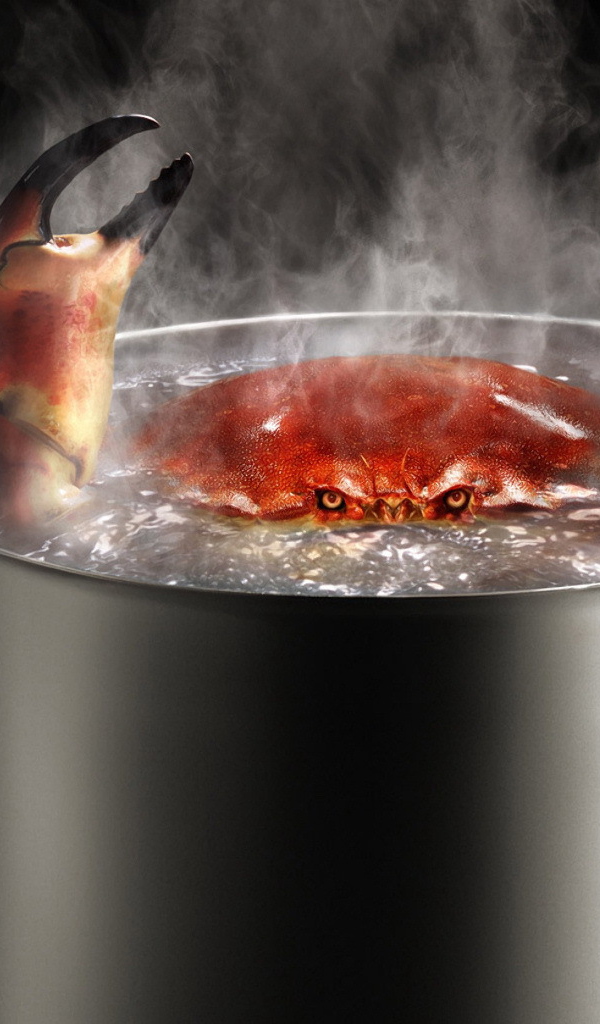 Краб в кипятке
