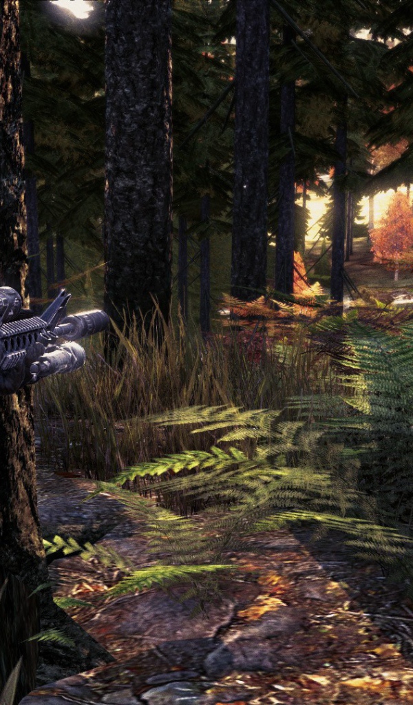 Солдат в лесу, игра DayZ