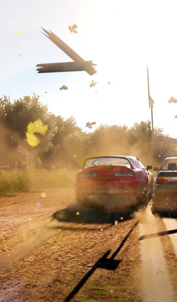 Авария в игре Forza Horizon