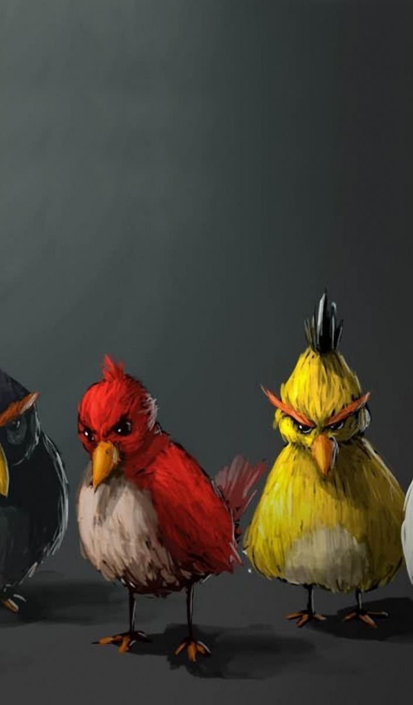 Арт к видео игре Angry Birds