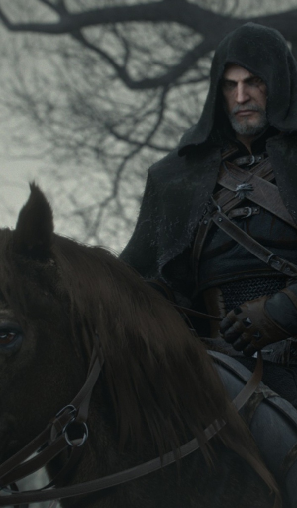 Черный всадник в игре The Witcher 3 Wild Hunt