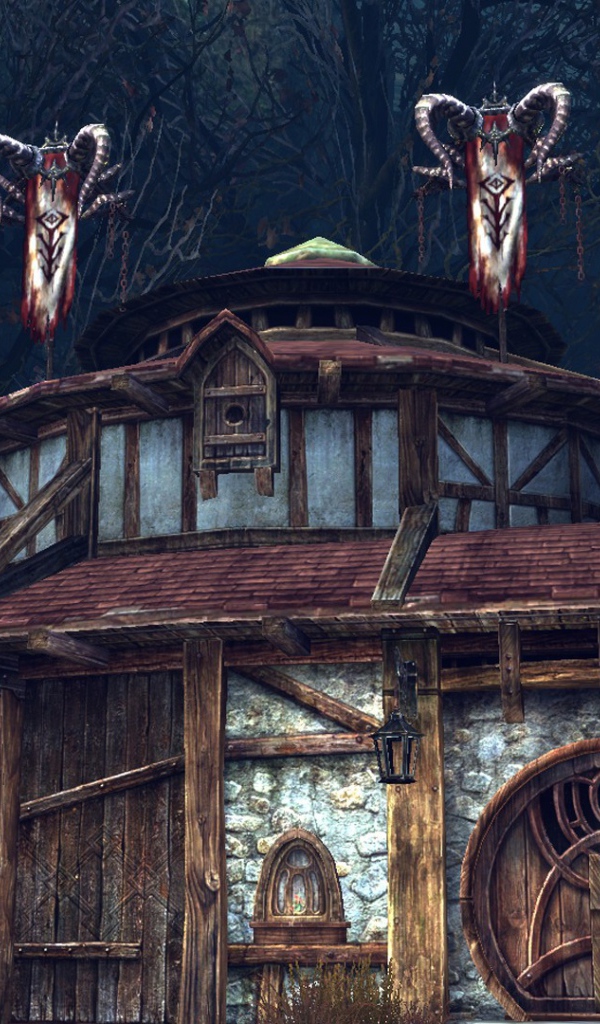 Постройка в игре Tera