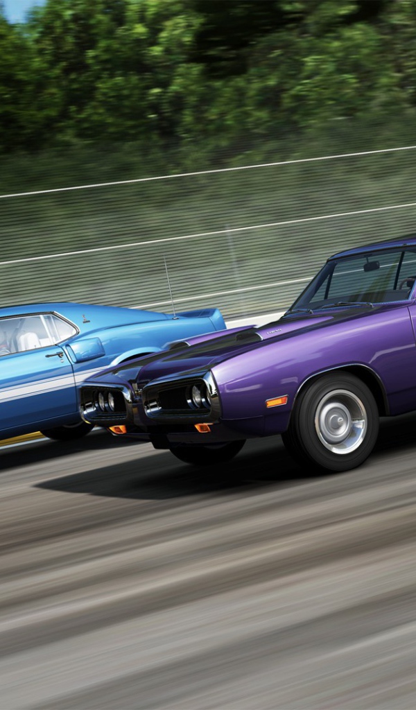 Автомобили на старте в игре Forza Motorsport