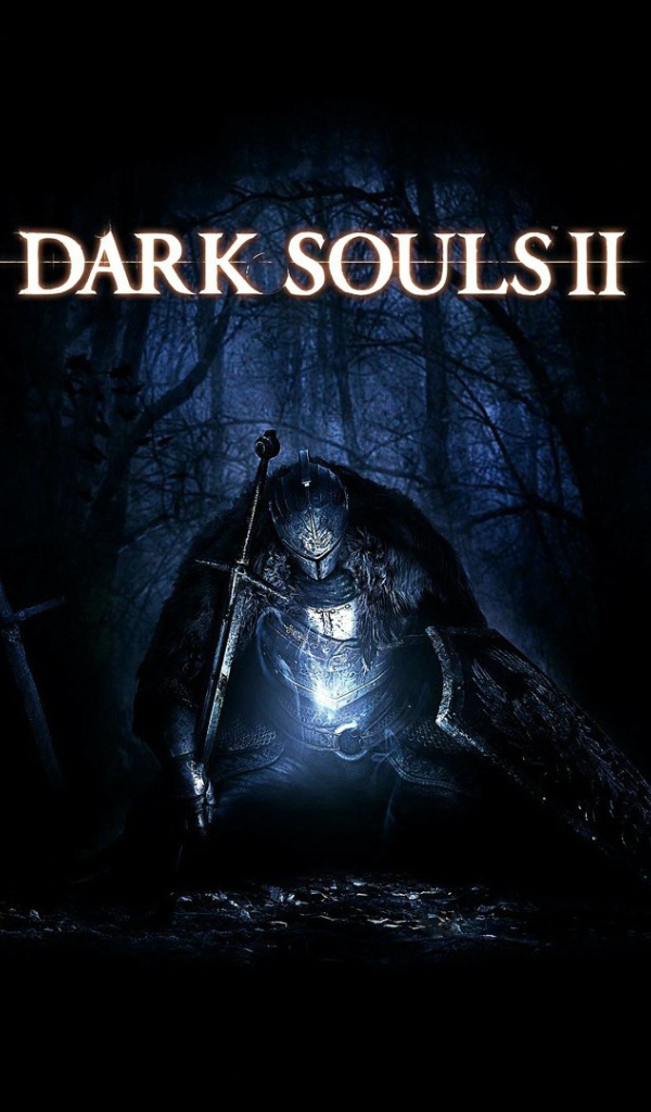 Компьютерная игра Dark Souls 2