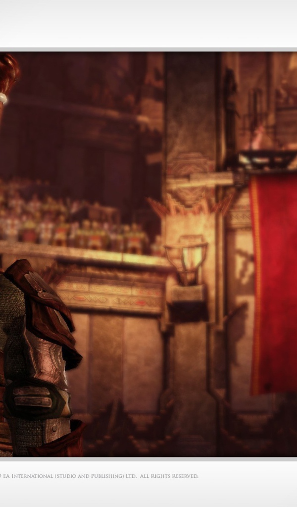 Компьютерная игра Dragon Age Origins