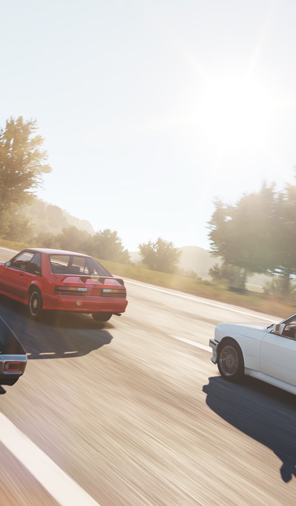 Компьютерная игра Forza Horizon 2