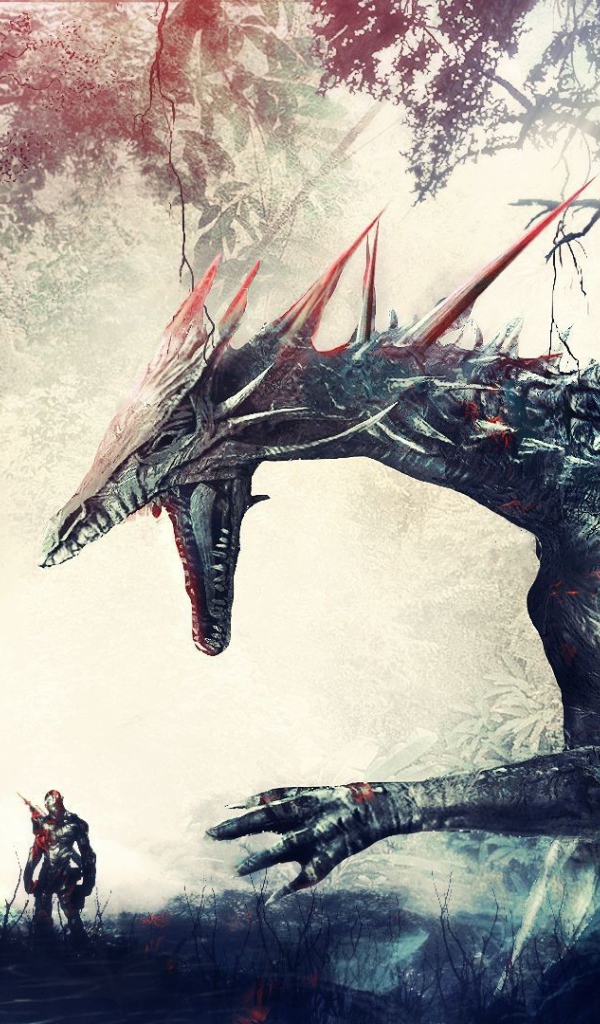 Дракон и воин в игре Dragon Age Origins