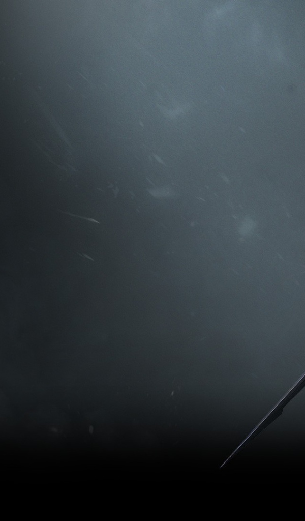 Эредин из игры The Witcher 3 Wild Hunt