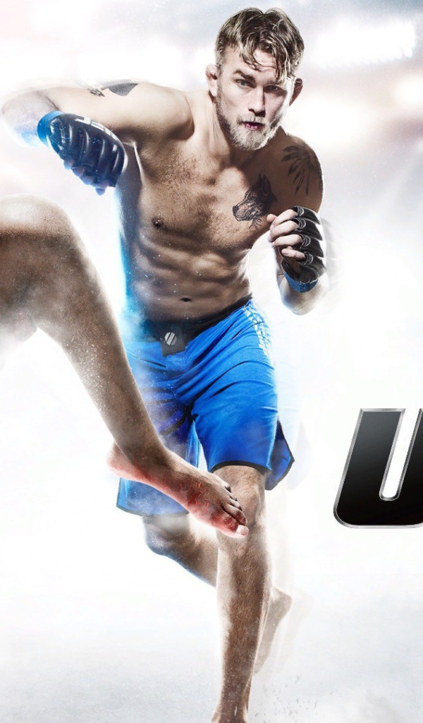 Игра Sports UFC