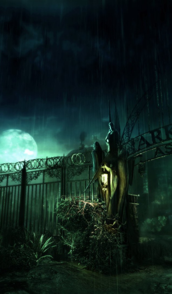 Ворота в игре Batman Arkham Asylum