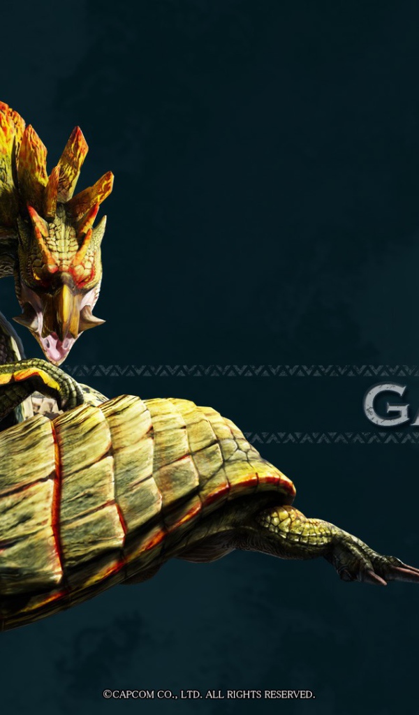 Гарара Аджара из игры Monster Hunter