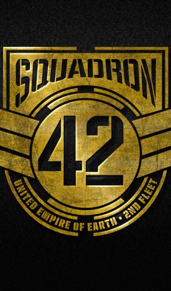 Военная нашивка в игре Star Citizen