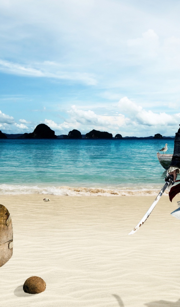 Остров пиратов, игра Assassin's Creed