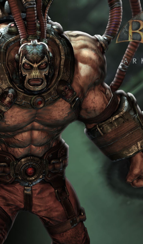 Постер игры Batman Arkham Asylum