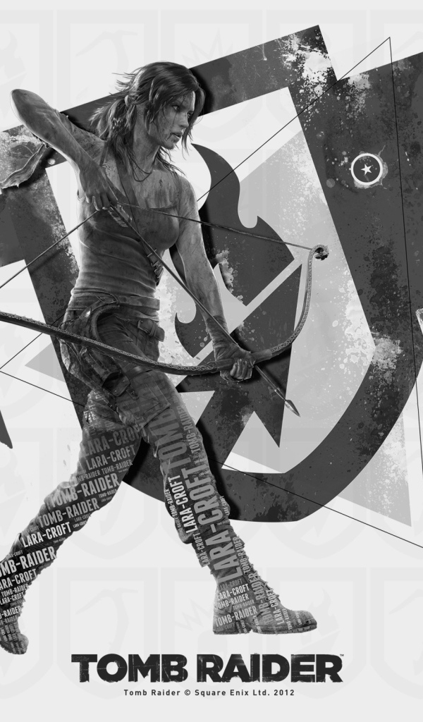 Постер игры Tomb Raider