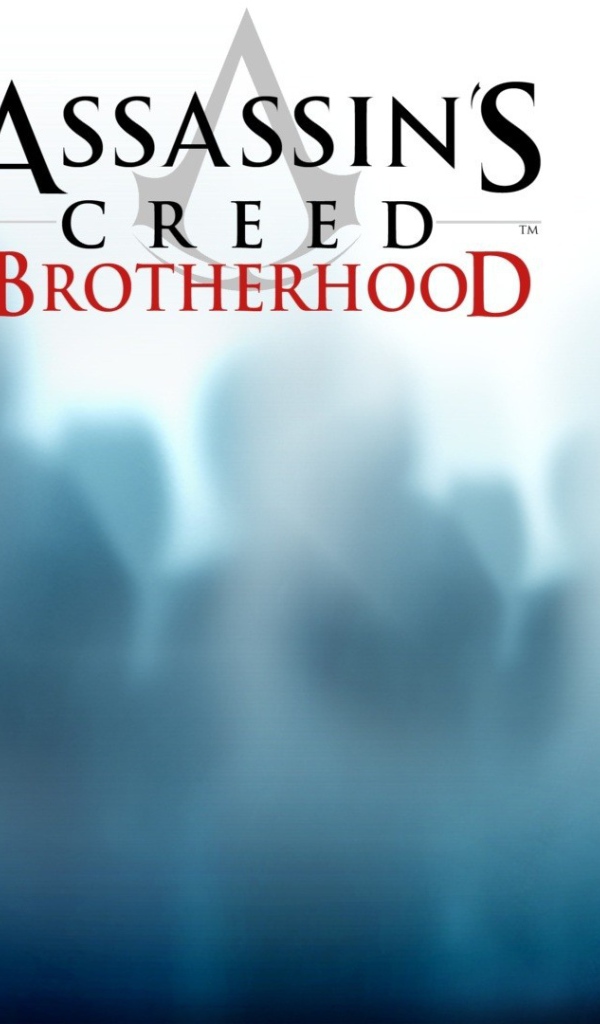 Постер видеоигры Assassin's Creed Brotherhood