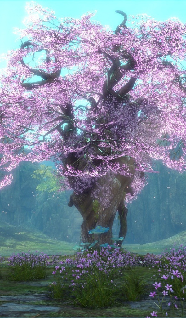 Сакура в игре Blade & Soul