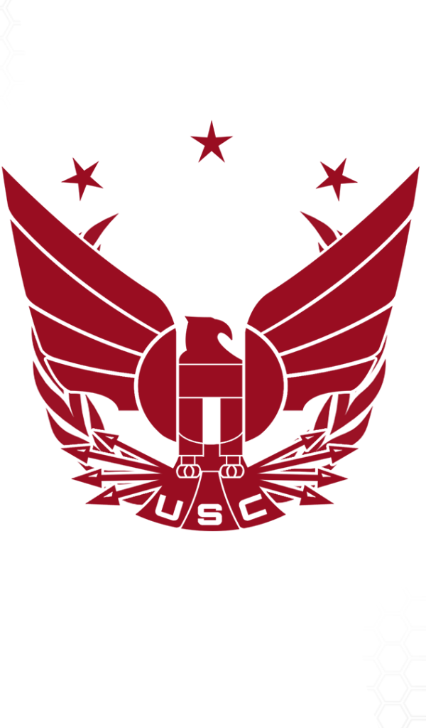 Символ космической конфедерации в игре Star Citizen