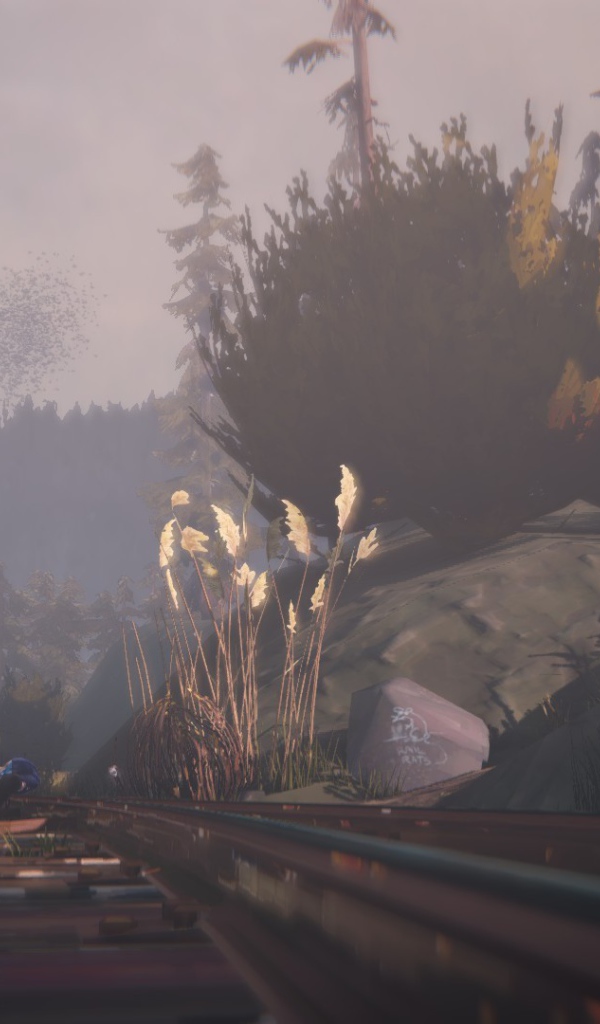 Мир игры Life Is Strange