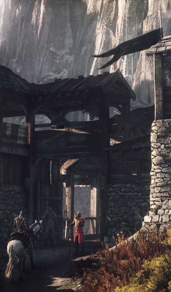 Ворота крепости в игре The Witcher 3 Wild Hunt