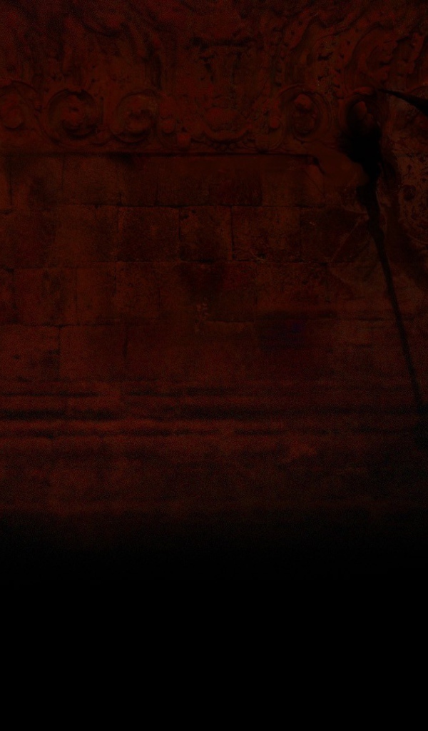 Тень демона в игре Path of Exile