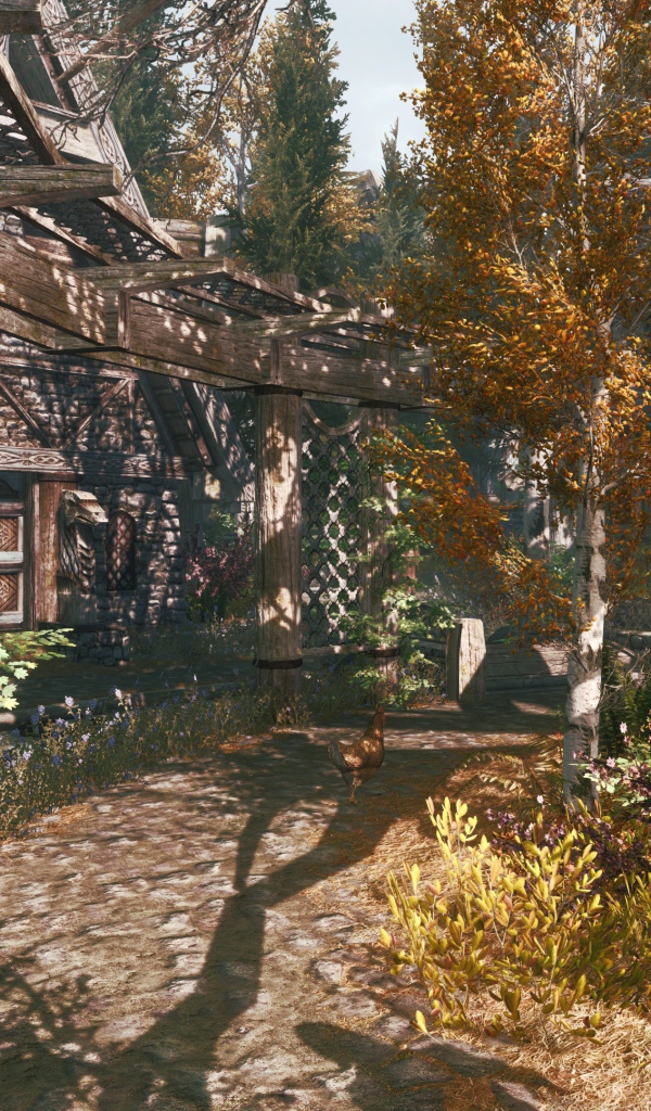 Деревня в игре The Elder Scrolls V Skyrim