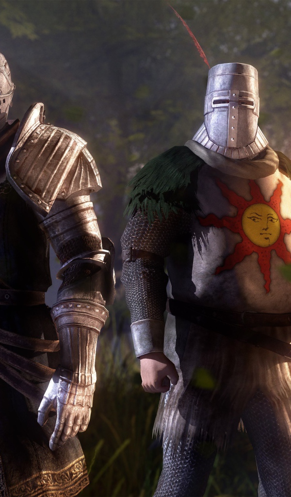 Два рыцаря, игра Dark Souls