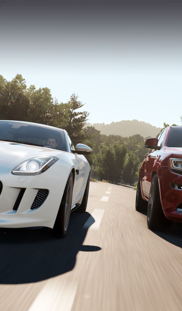 Видеоигра Forza Horizon