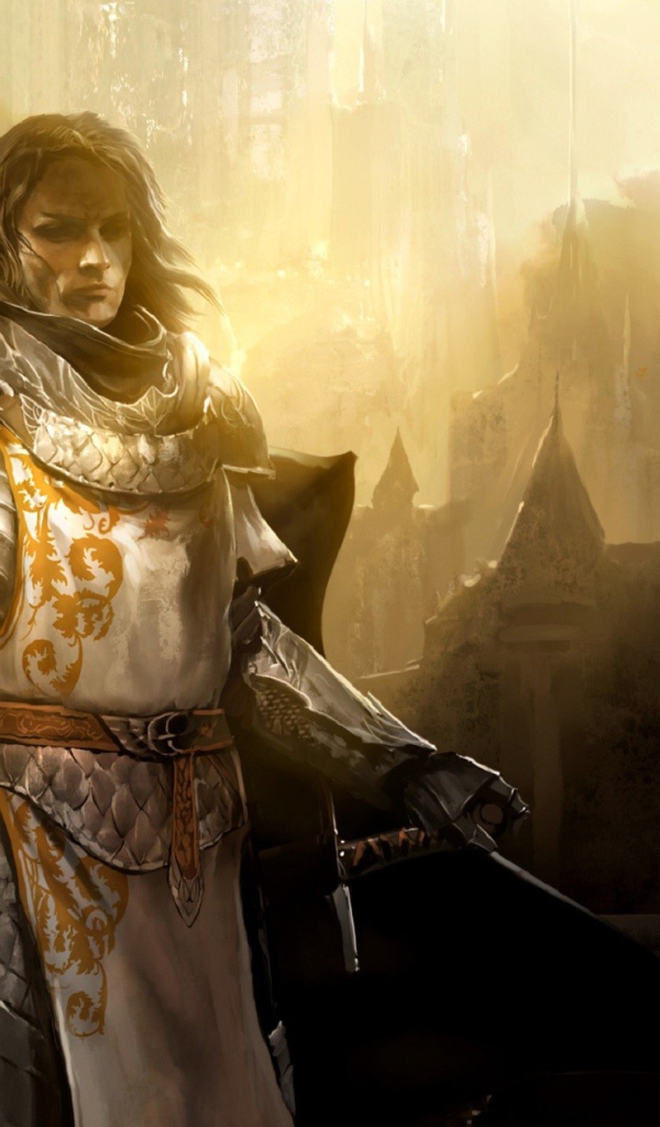 Воин из игры Guild Wars 2