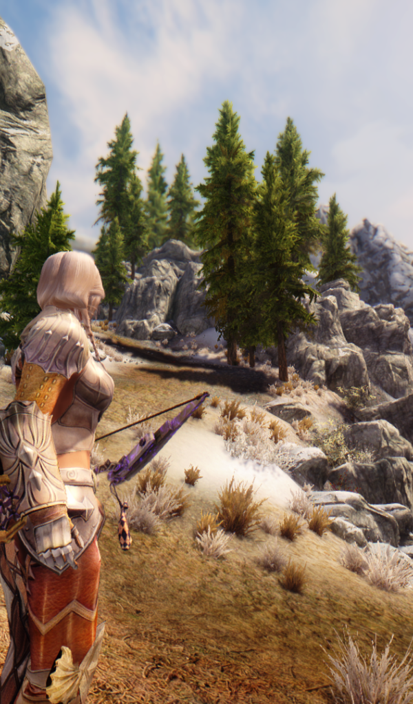 Девушка воин в игре The Elder Scrolls V Skyrim