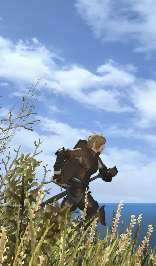 Мир игры Final Fantasy XIV