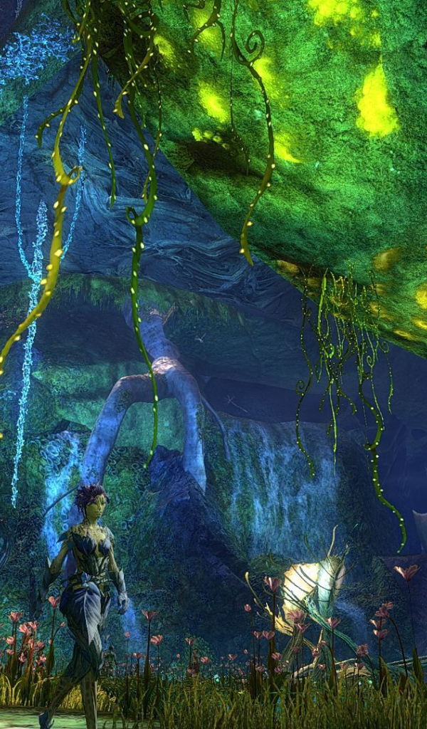 Мир игры Guild Wars