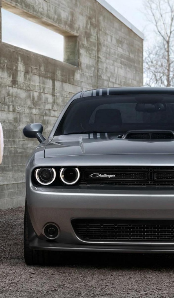 Блондинка на фоне серого Dodge Challenger
