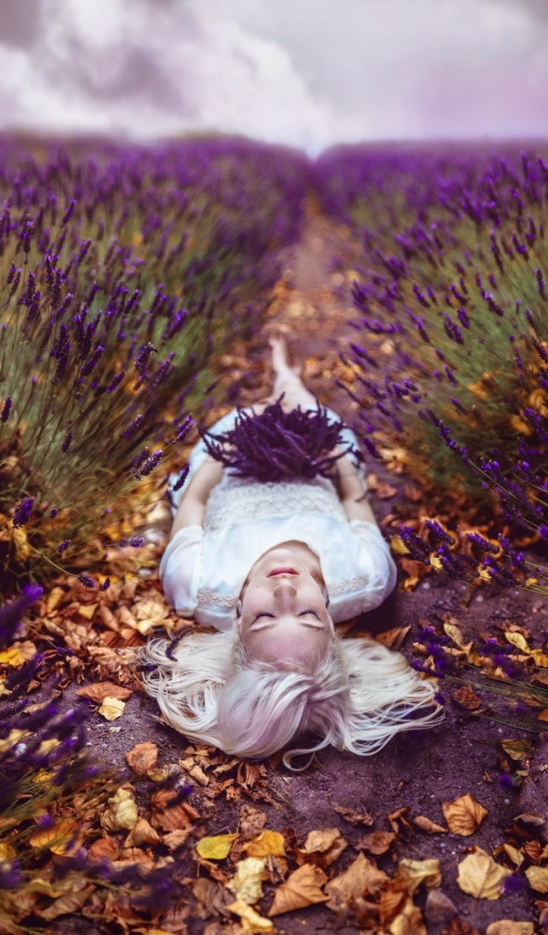 Блондинка лежит на тропе среди поля лаванды