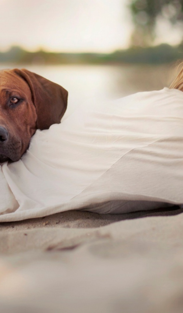 Собака положила голову на спину девушки