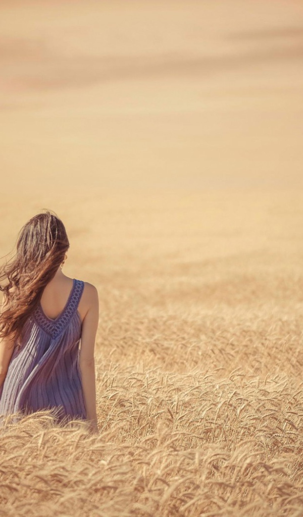 Девушка среди поля спелой пшеницы