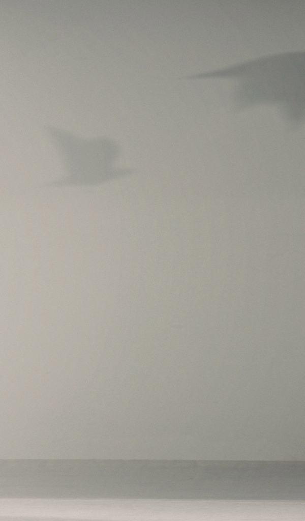 Девушка в коротком платье Хейден Панеттьер