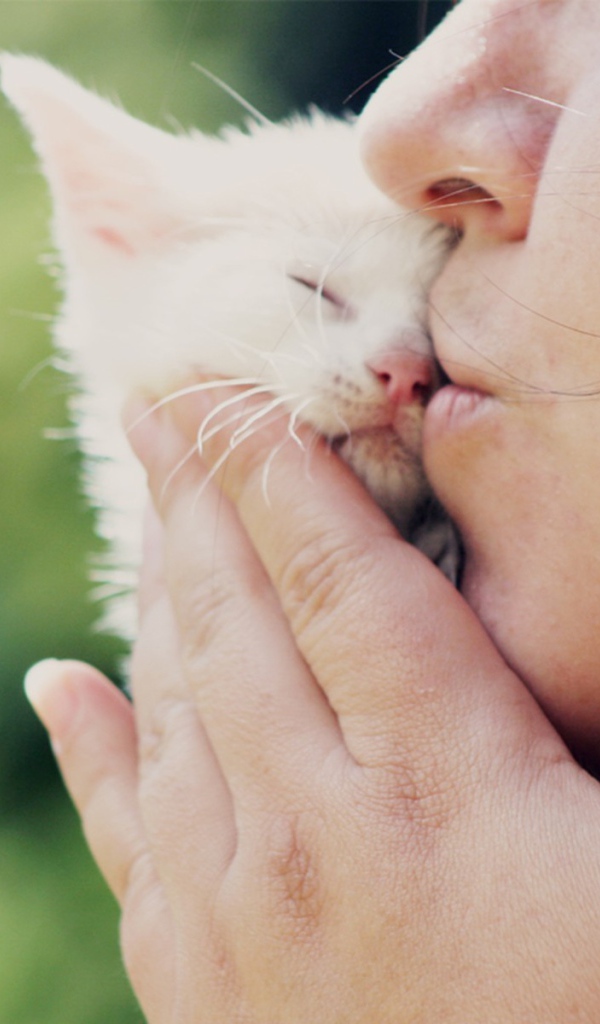 Девушка целует белого котенка