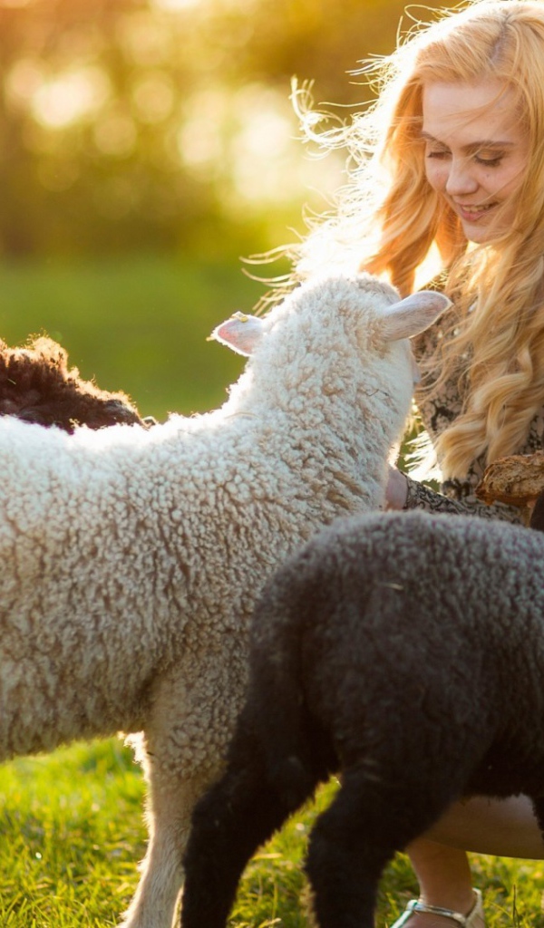 Девушка играет с овечками