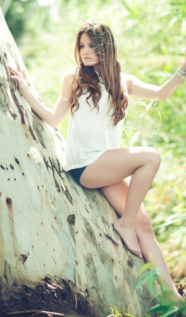 Девушка сидит на дереве