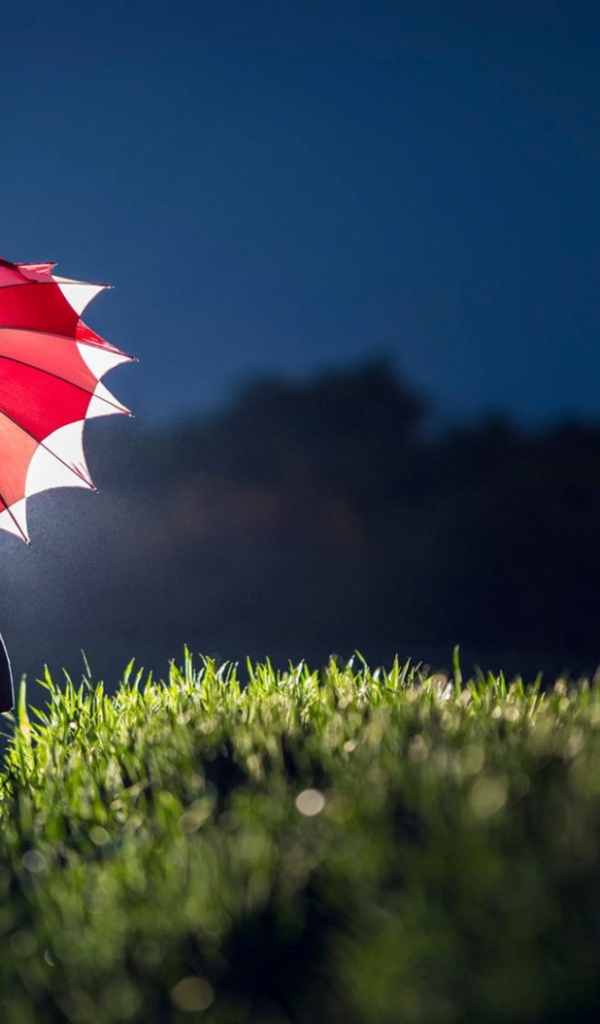 Девушка с красным зонтом в траве