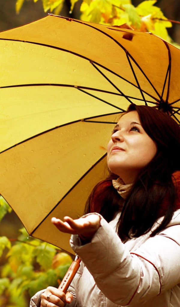 Милая девушка ловит капли осеннего дождя