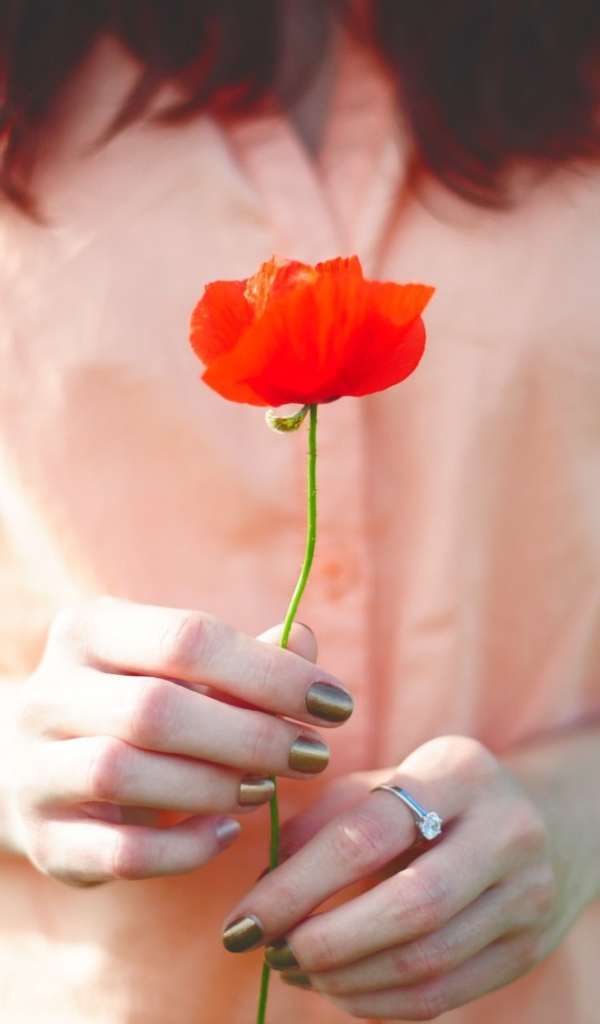 Мак в руках у девушки