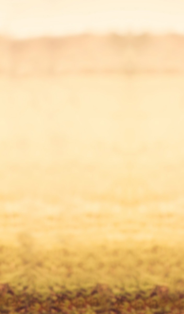 Рыжая девушка в джинсах и серой футболке