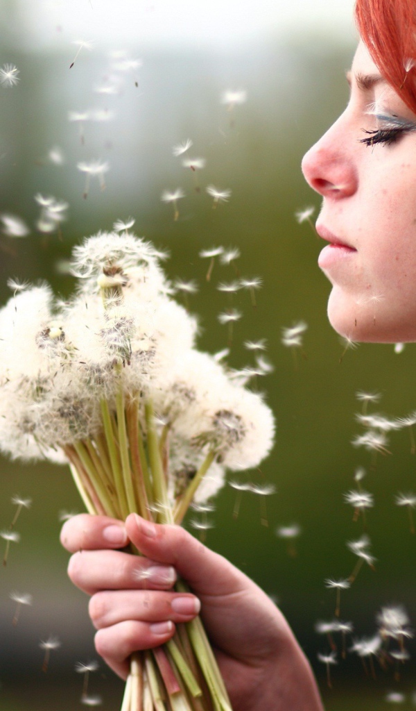 Рыжая девушка с букетом зрелых одуванчиков