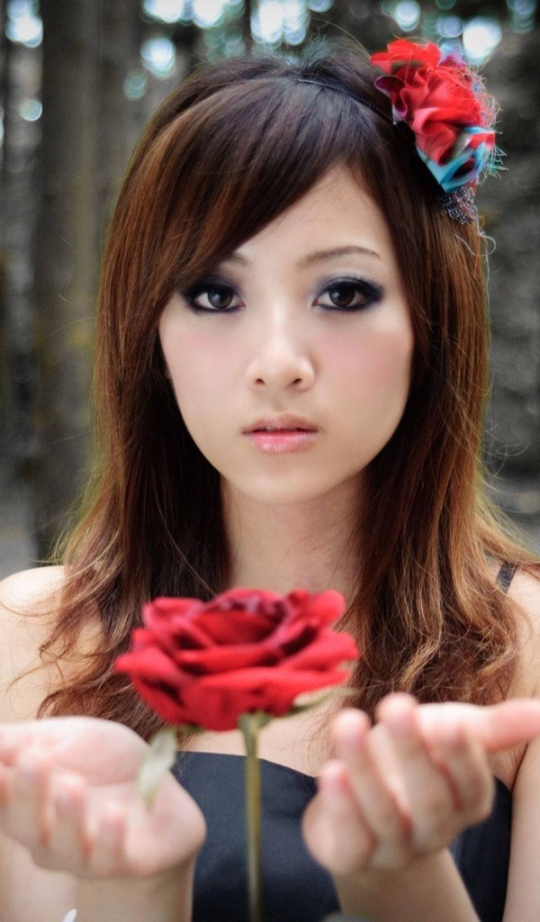 Роза парит в руках у девушки