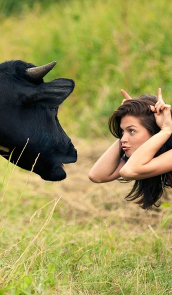 Девушка дразнит корову
